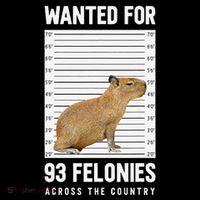 Wanted 93 Felonies Capybara Mugshots Rodent Owners Coffee Mug thumb 5