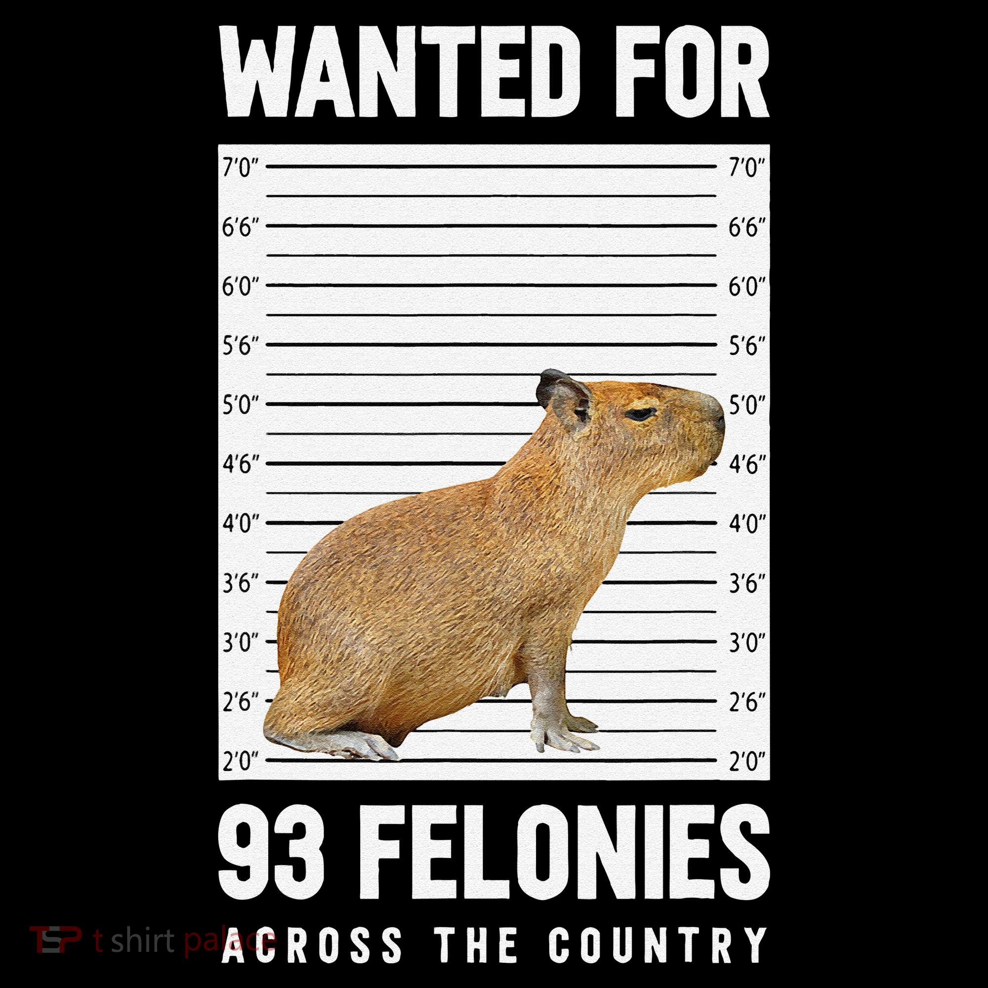 Wanted 93 Felonies Capybara Mugshots Rodent Owners Coffee Mug