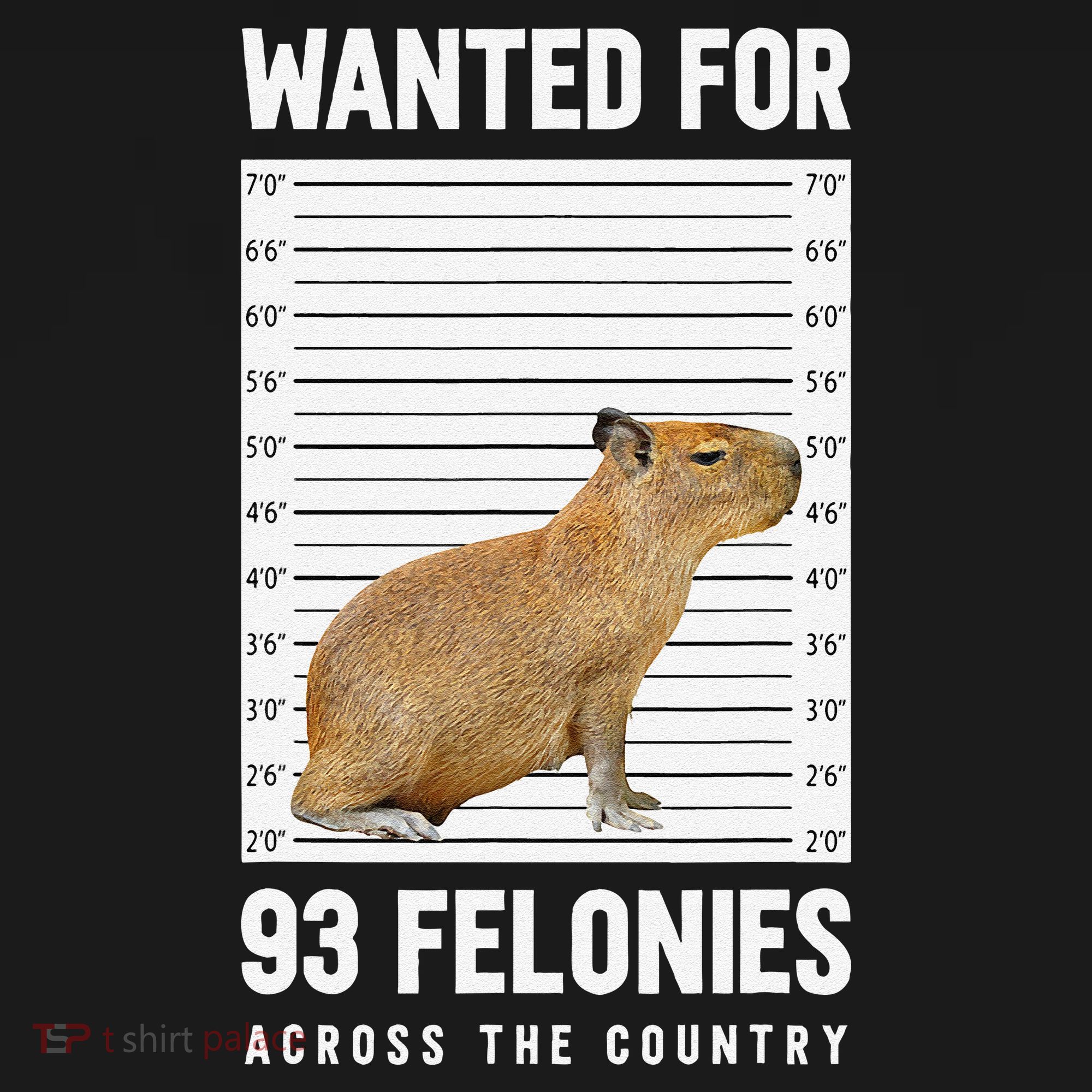 Wanted 93 Felonies Capybara Mugshots Rodent Owners Women's Hoodie