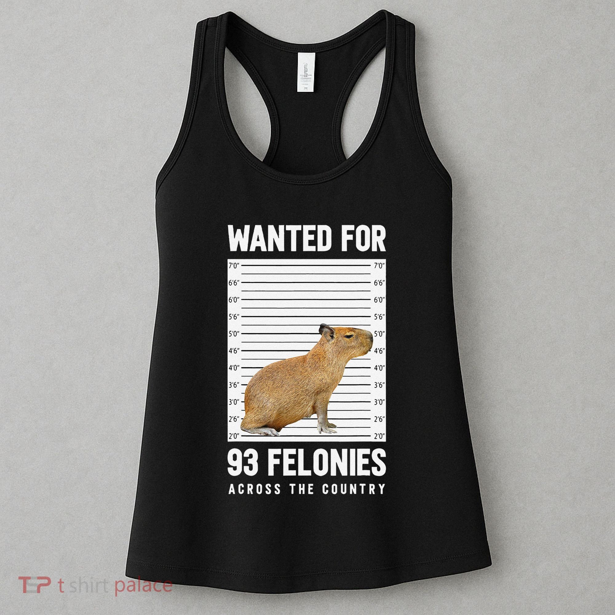 Wanted 93 Felonies Capybara Mugshots Rodent Owners Women's Tank Top
