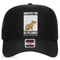 Wanted 93 Felonies Capybara Mugshots Rodent Owners Hat thumb 0