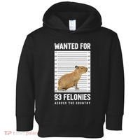 Wanted 93 Felonies Capybara Mugshots Rodent Owners Toddler Hoodie thumb 0