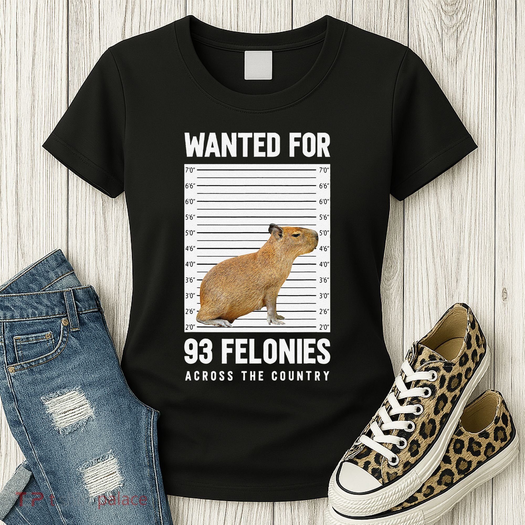 Wanted 93 Felonies Capybara Mugshots Rodent Owners Women's T-Shirt
