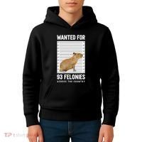 Wanted 93 Felonies Capybara Mugshots Rodent Owners Kids Hoodie thumb 4