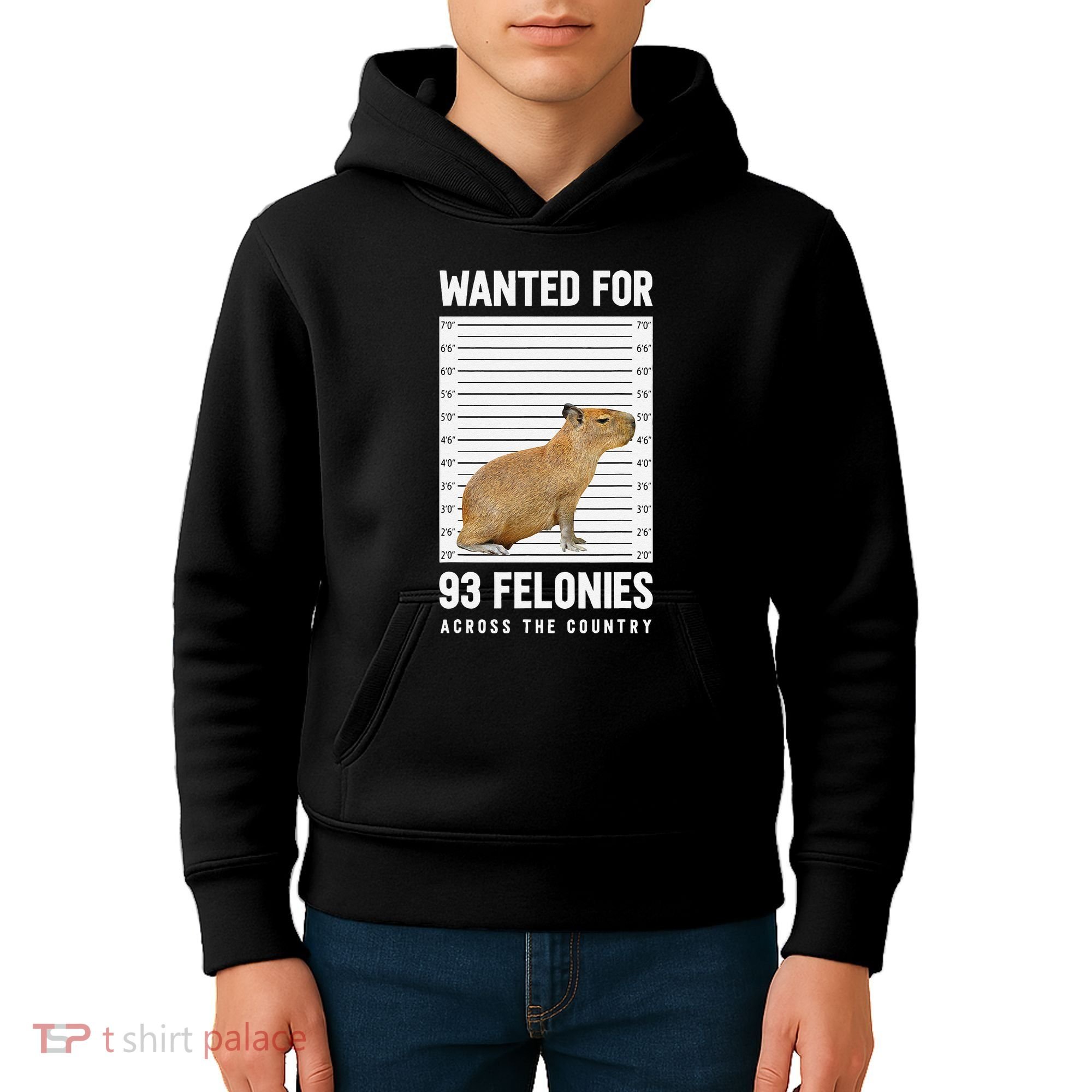 Wanted 93 Felonies Capybara Mugshots Rodent Owners Kids Hoodie
