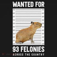 Wanted 93 Felonies Capybara Mugshots Rodent Owners Kids Hoodie thumb 5