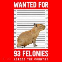 Wanted 93 Felonies Capybara Mugshots Rodent Owners Santa Hat thumb 1