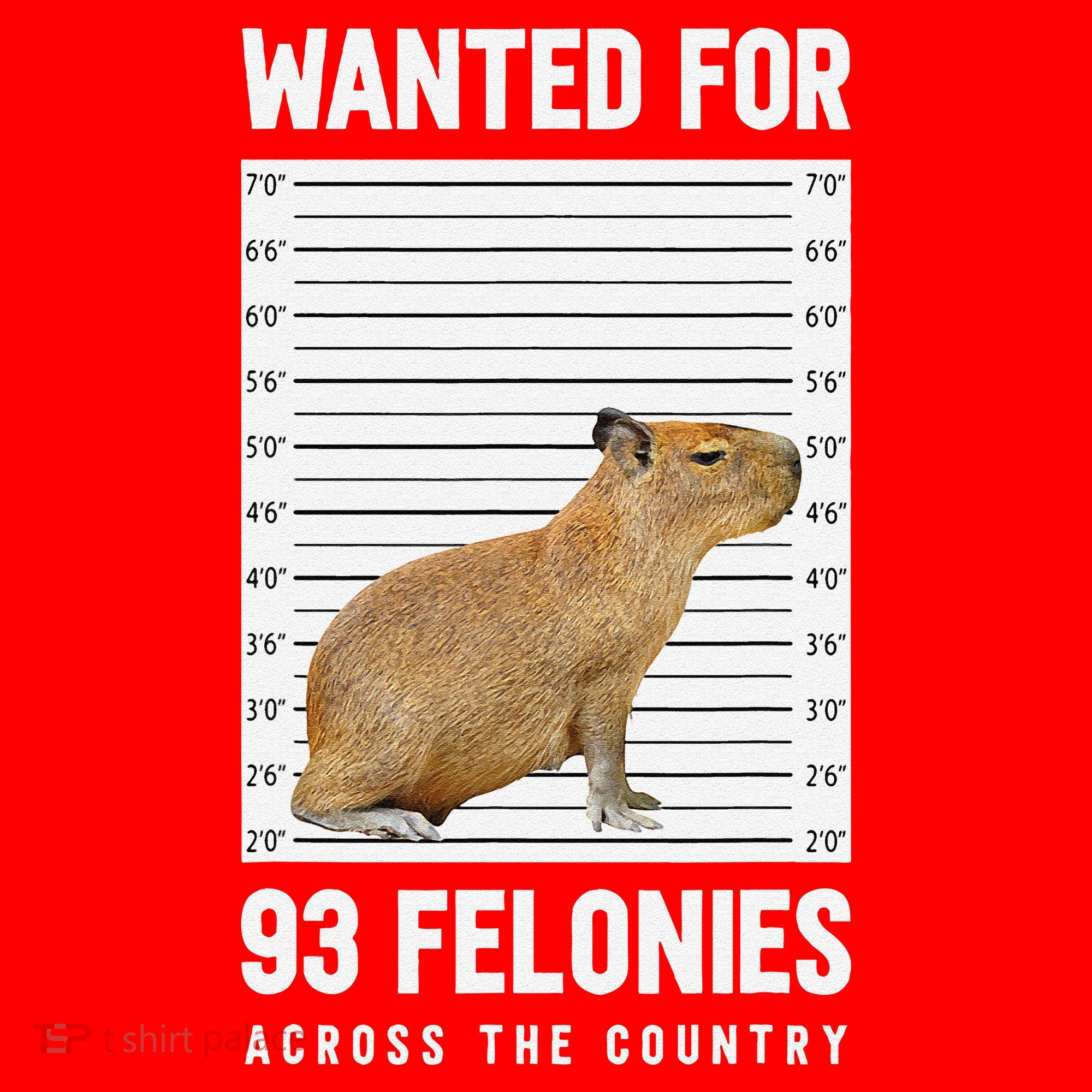 Wanted 93 Felonies Capybara Mugshots Rodent Owners Santa Hat