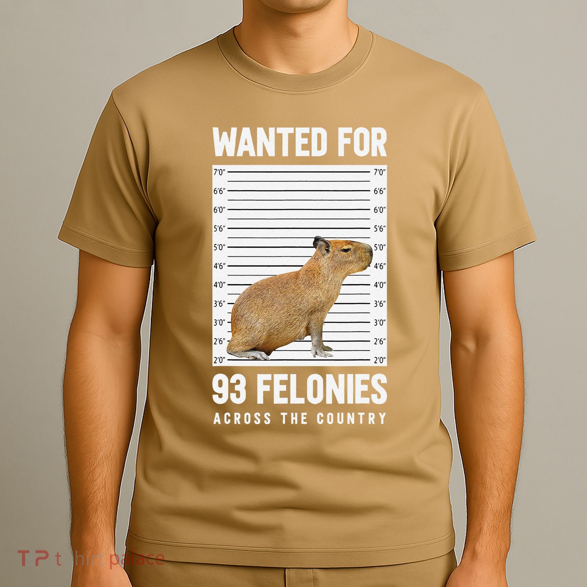 Wanted 93 Felonies Capybara Mugshots Rodent Owners T-Shirt