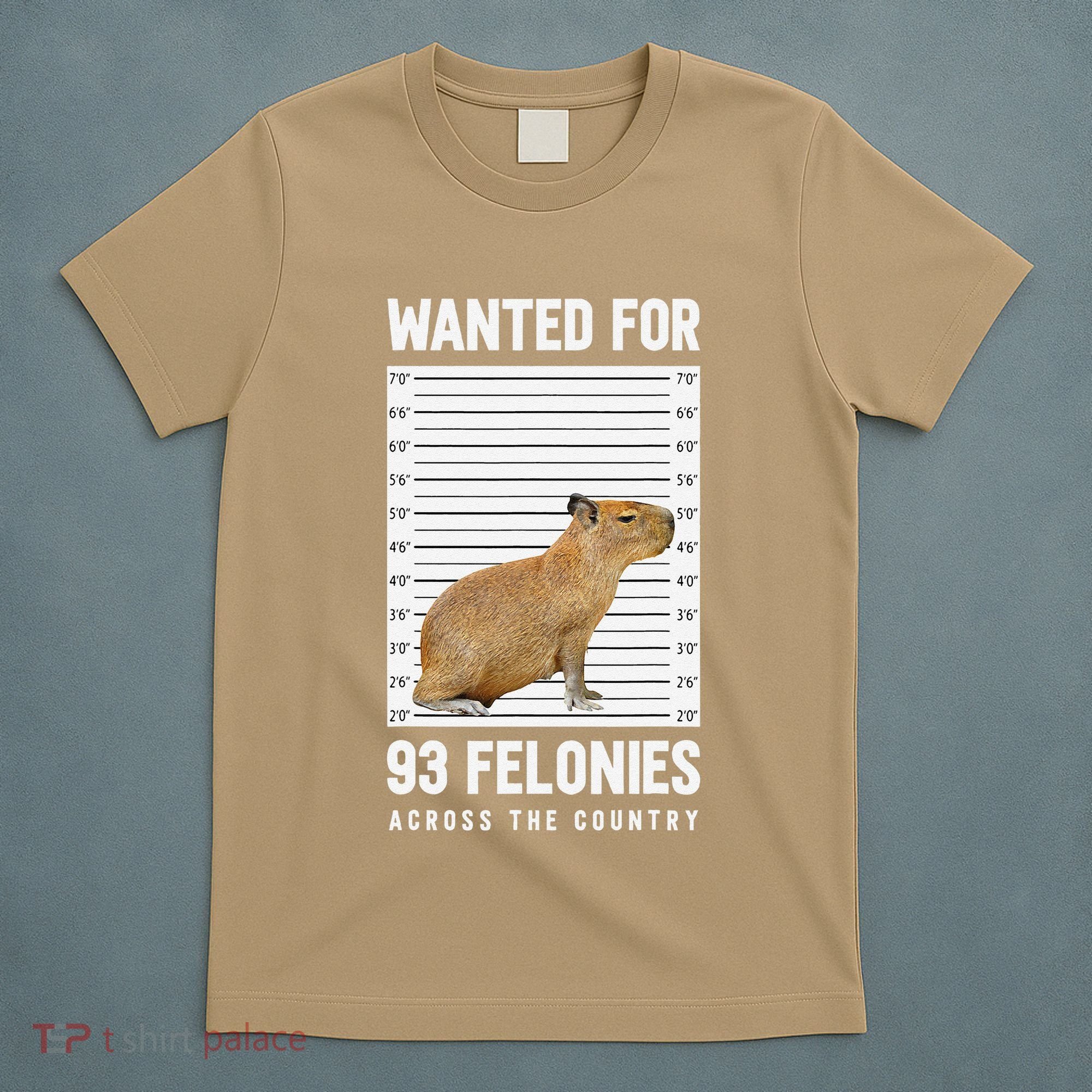 Wanted 93 Felonies Capybara Mugshots Rodent Owners T-Shirt