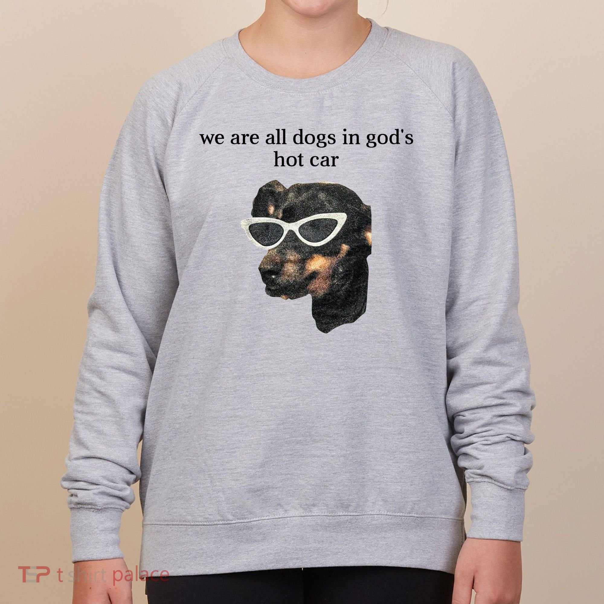 We Are All Dogs In God’S Hot Car Women's Sweatshirt