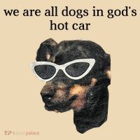 We Are All Dogs In God’S Hot Car T-Shirt thumb 2