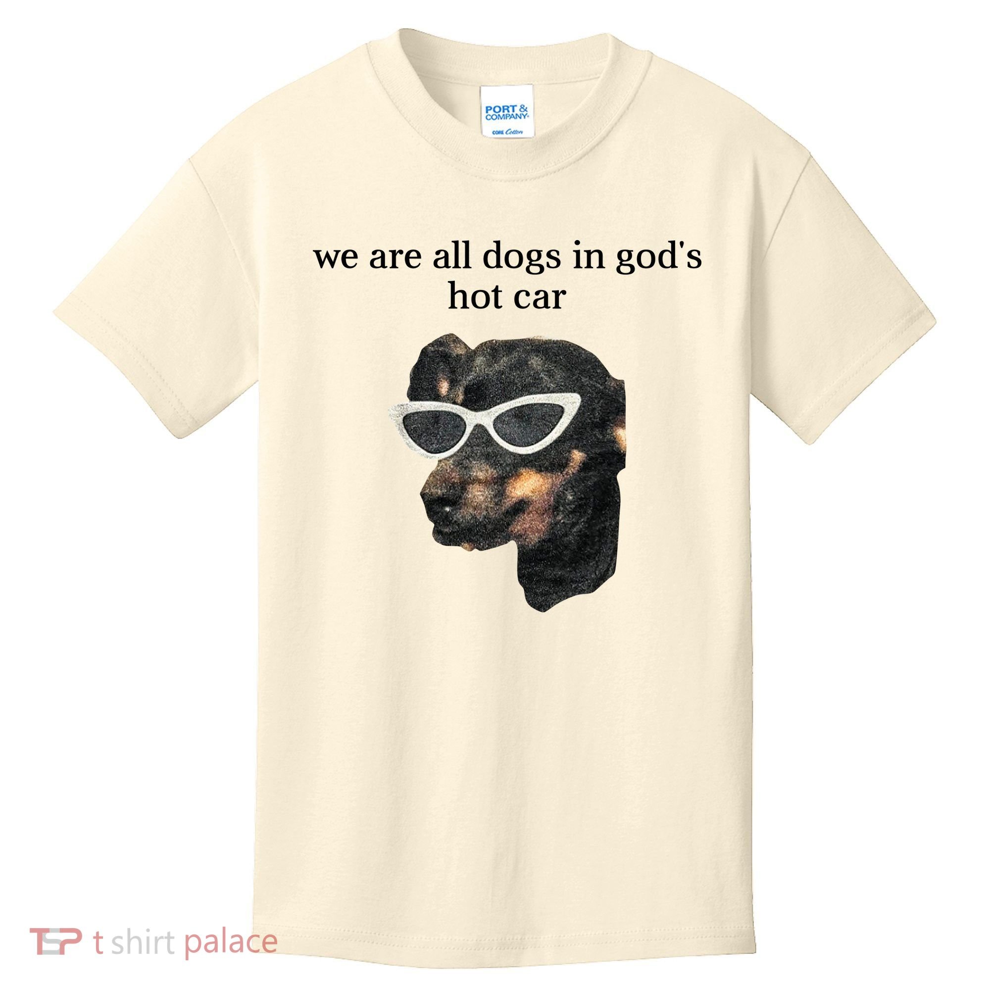 We Are All Dogs In God’S Hot Car Kids T-Shirt