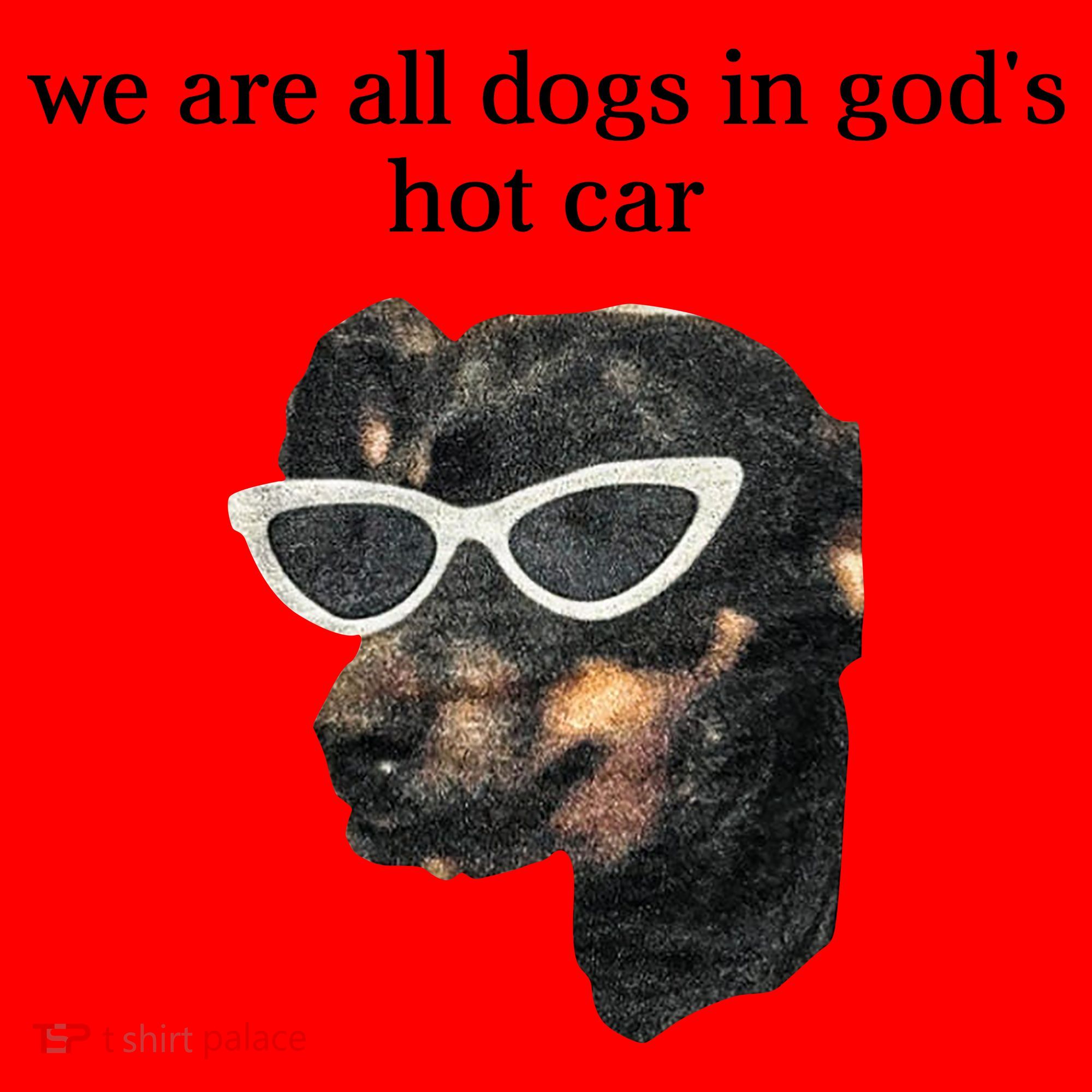 We Are All Dogs In God’S Hot Car Santa Hat