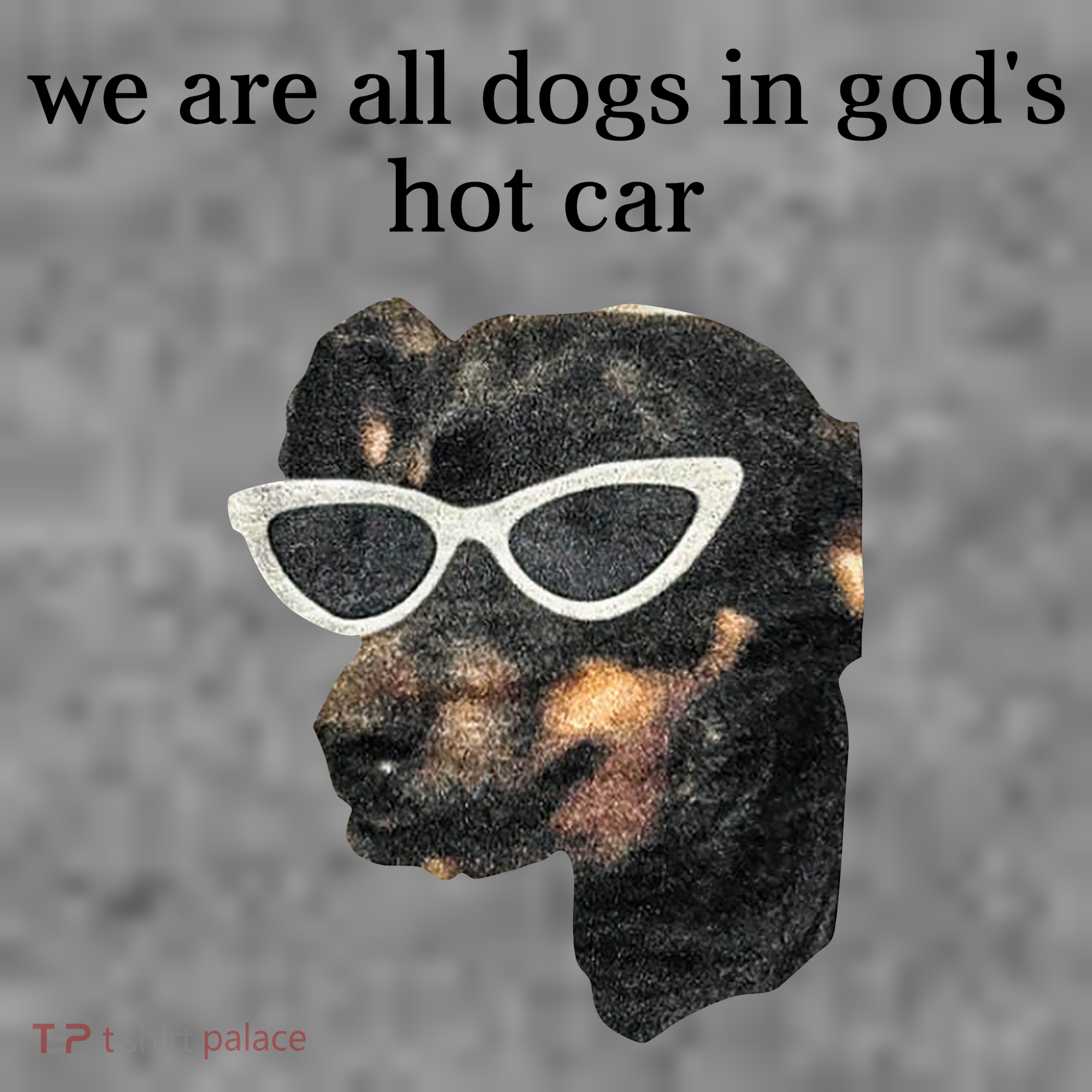 We Are All Dogs In God’S Hot Car Toddler Hoodie