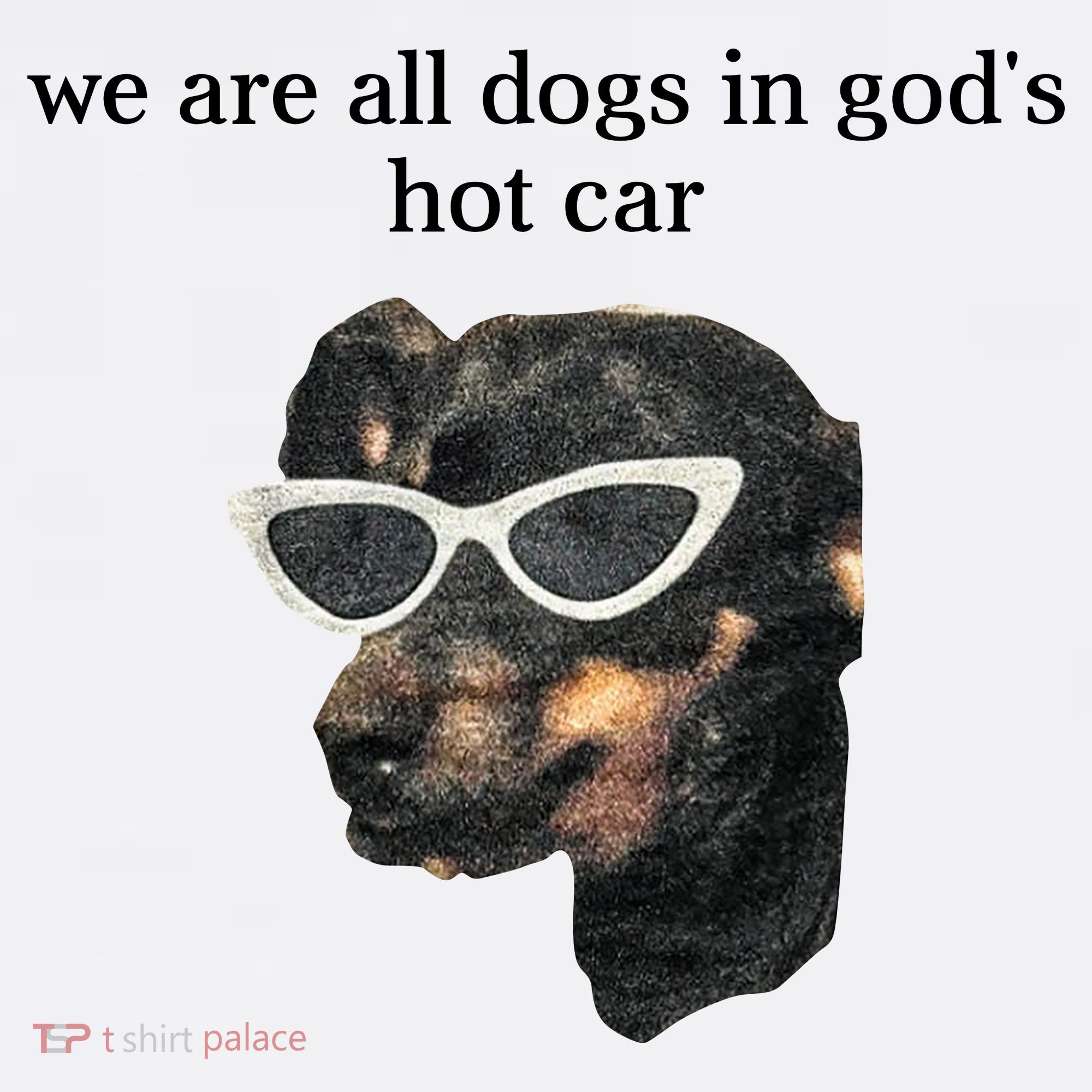 We Are All Dogs In God’S Hot Car Women's Hoodie