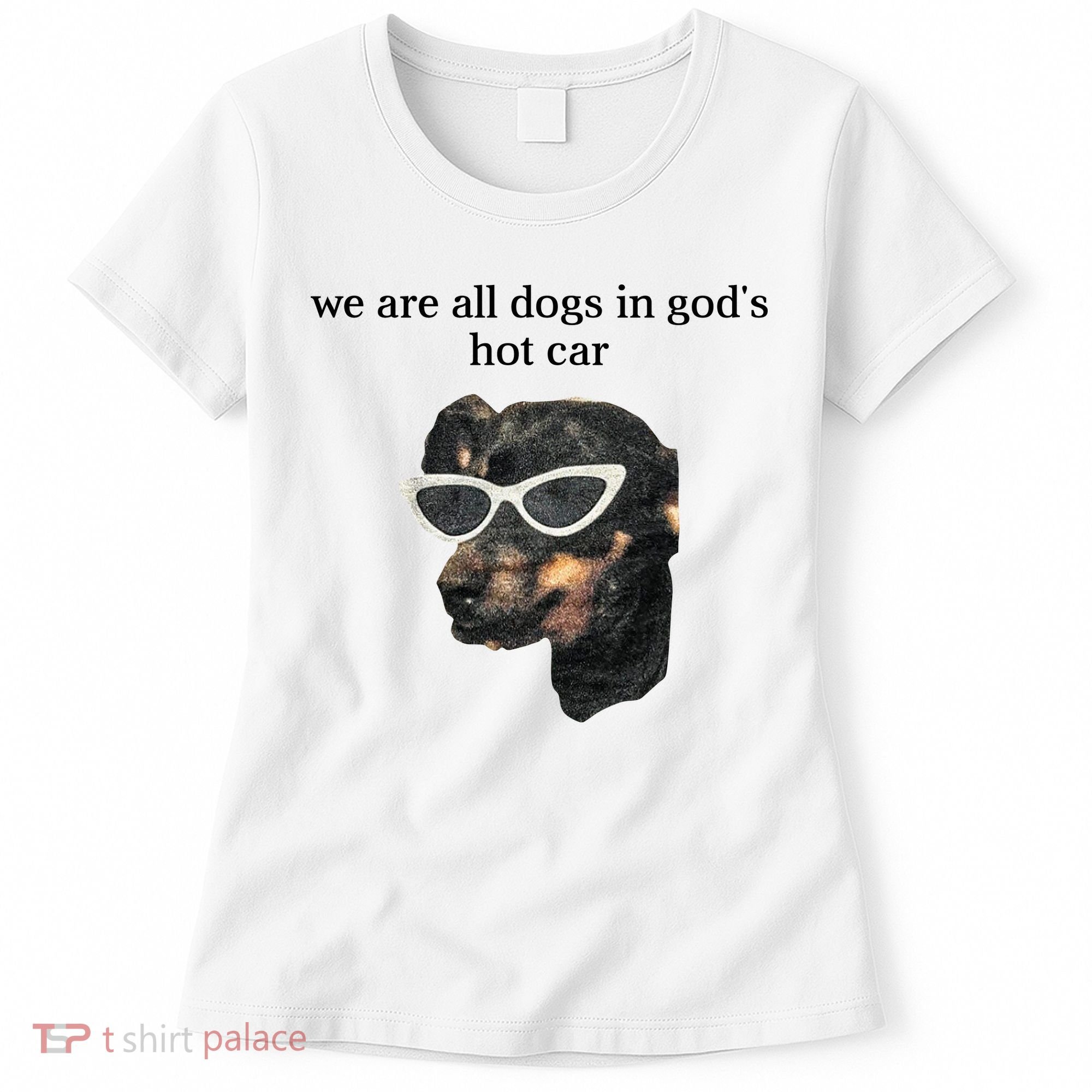 We Are All Dogs In God’S Hot Car Women's T-Shirt