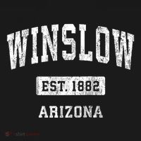 Winslow Arizona Az Vintage Sports Established T-Shirt thumb 7