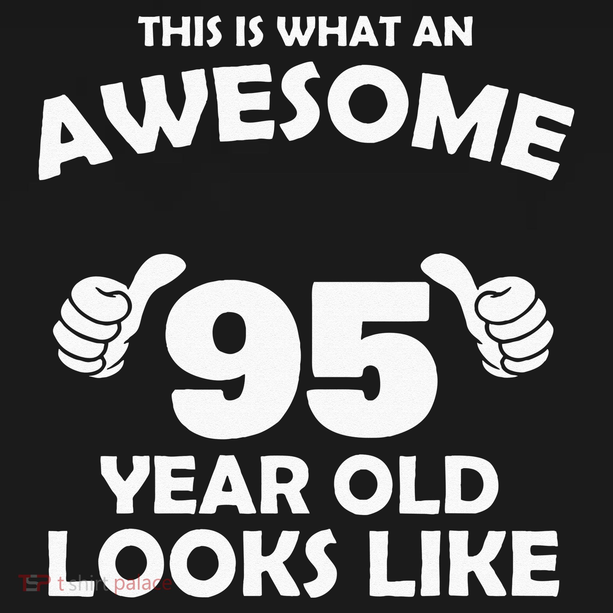What An Awesome 95 Year Old Looks Like Birthday Bday Women's Hoodie