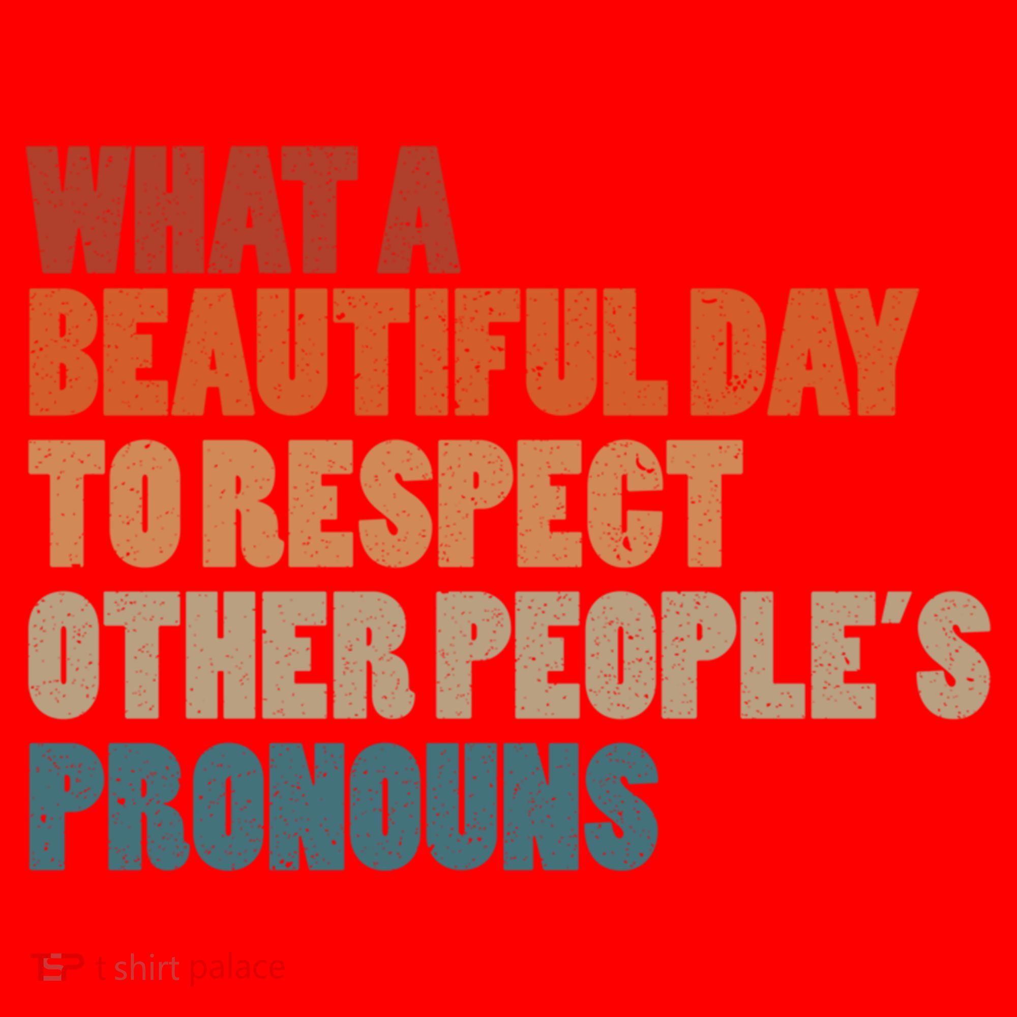 What A Beautiful Day To Respect Other Peoples Pronouns Cool Gift Santa Hat