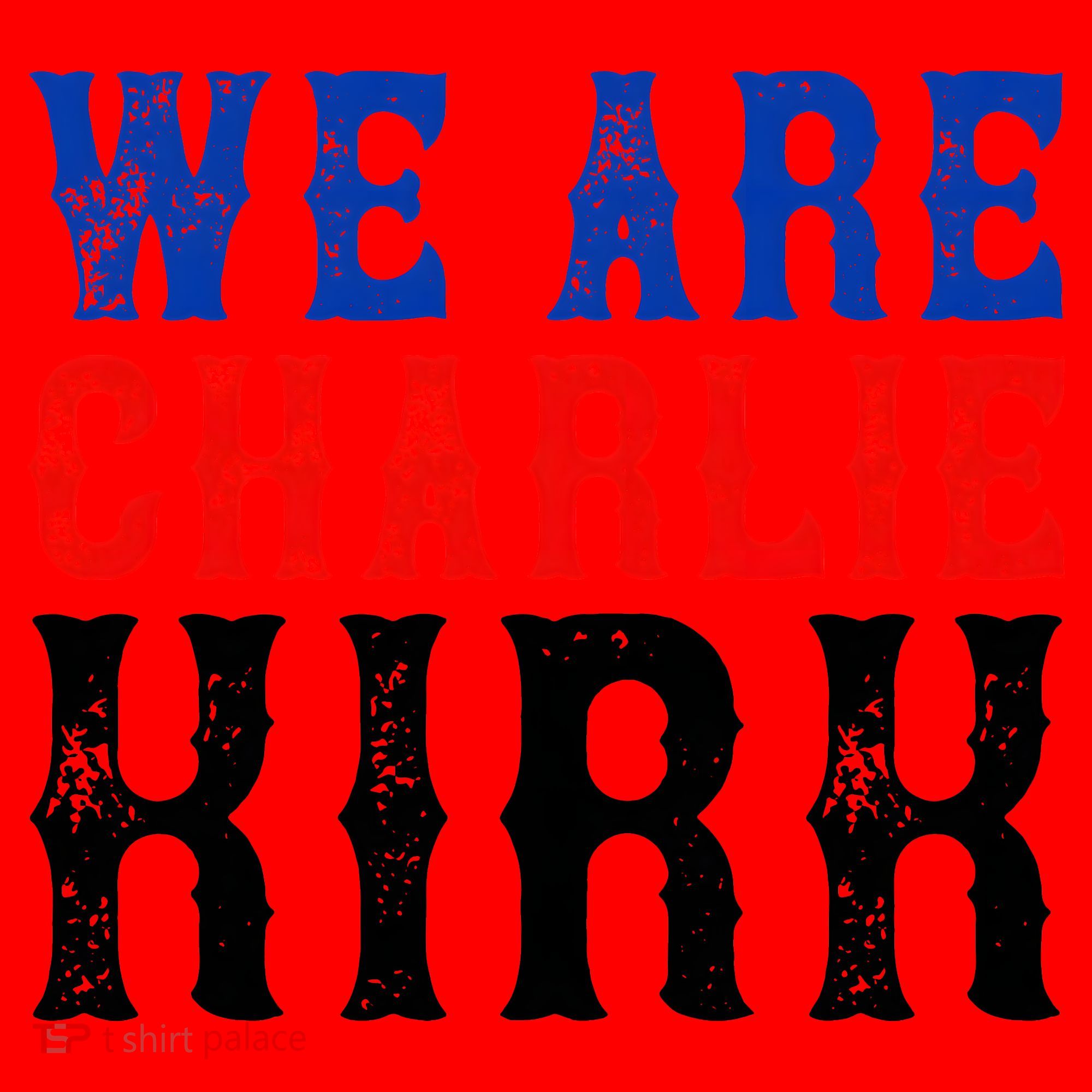 We Are Charlie Kirk Santa Hat