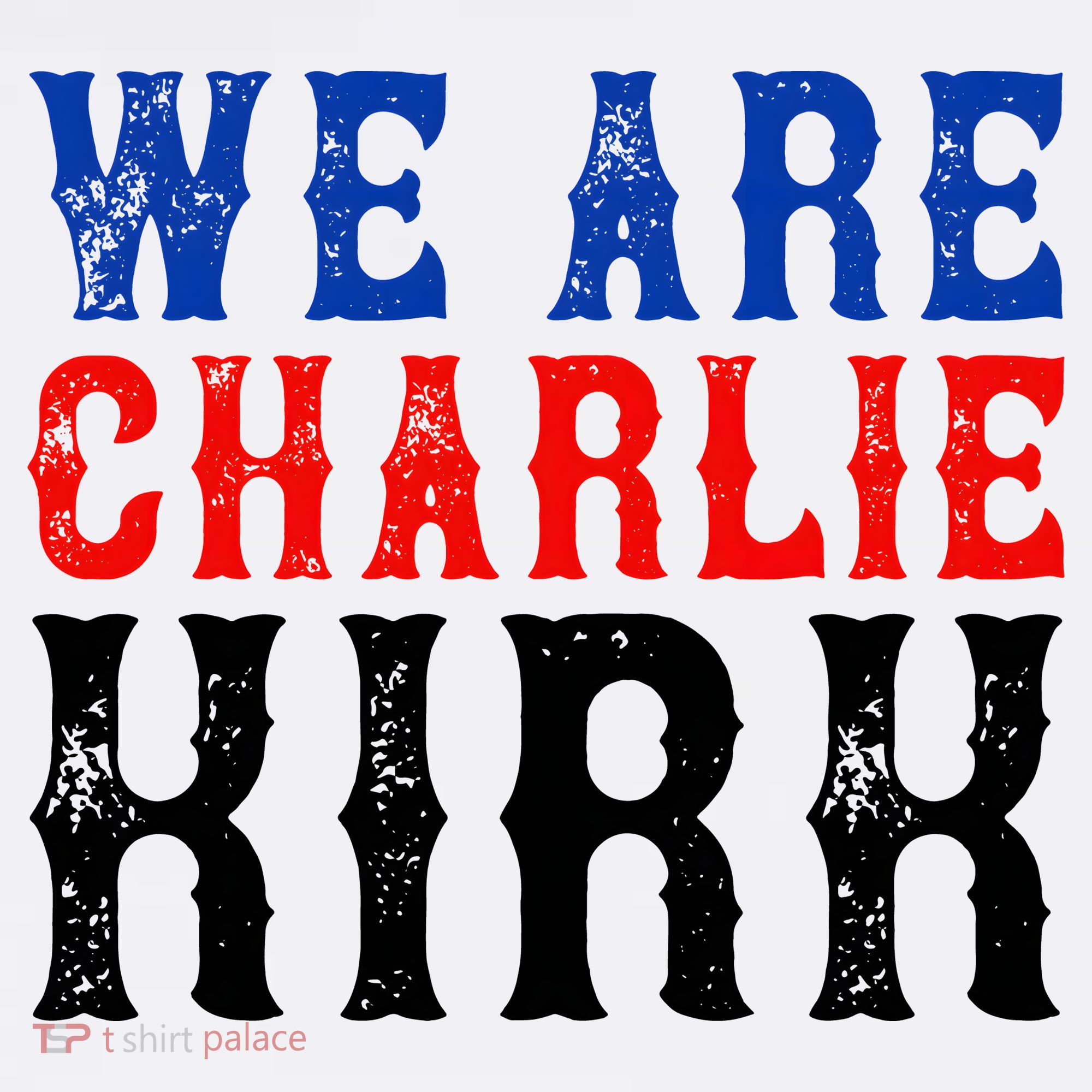 We Are Charlie Kirk Beanie