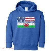 Welsh American Flag Wales Usa Pride America Toddler Hoodie thumb 0