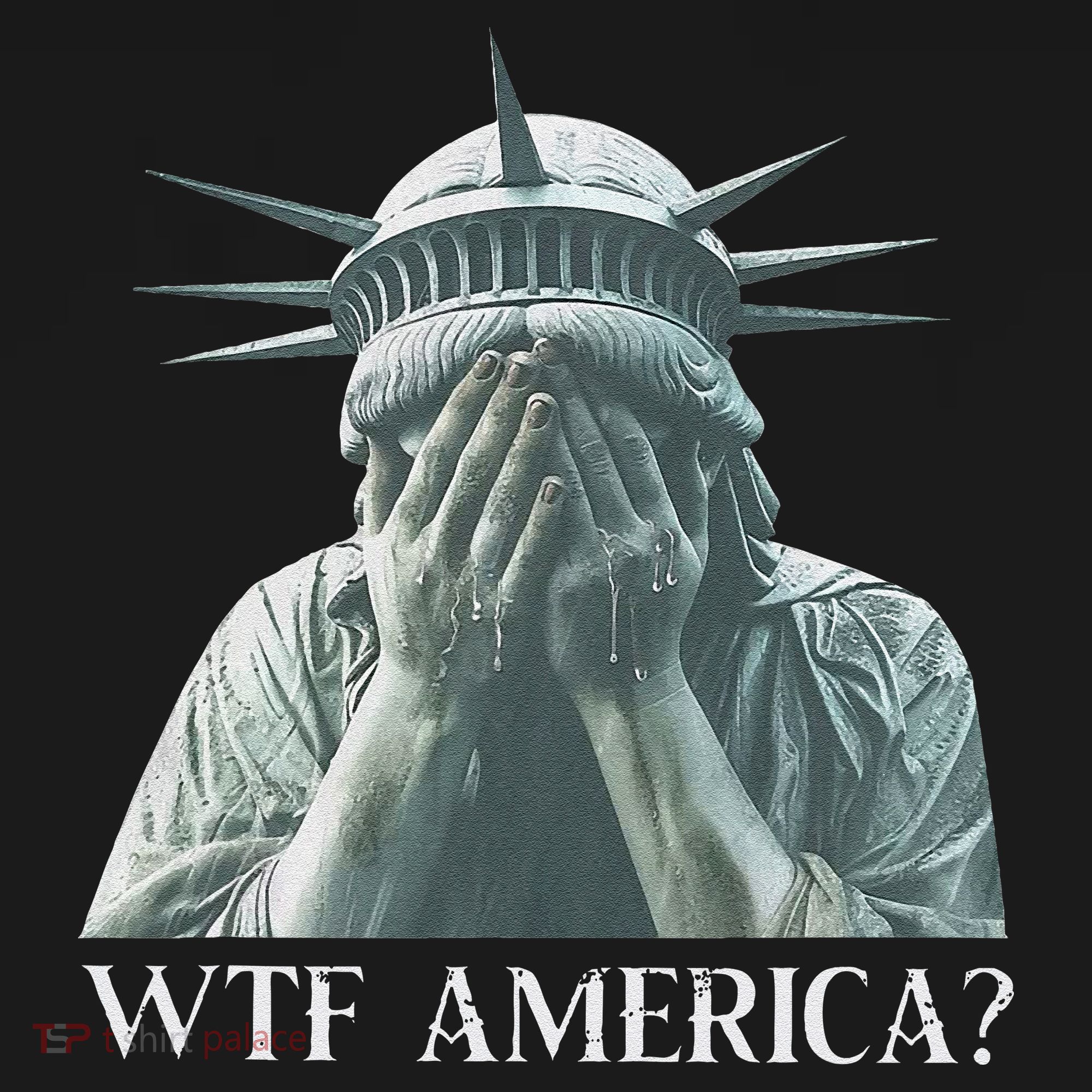 Wtf America Gift Apron