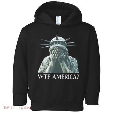 Wtf America Gift Toddler Hoodie