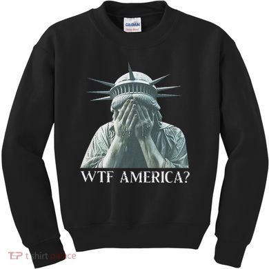 Wtf America Gift Kids Sweatshirt
