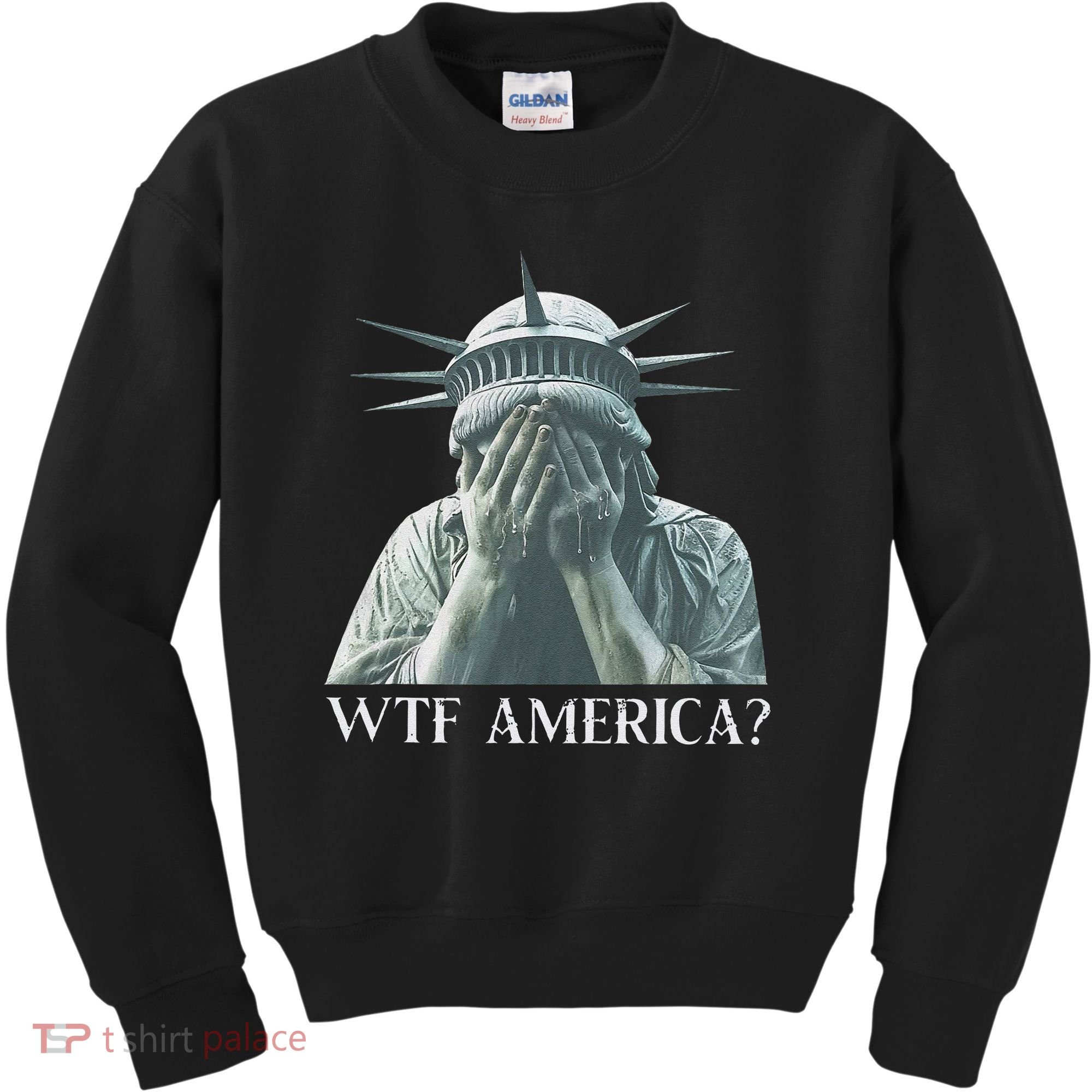 Wtf America Gift Kids Sweatshirt