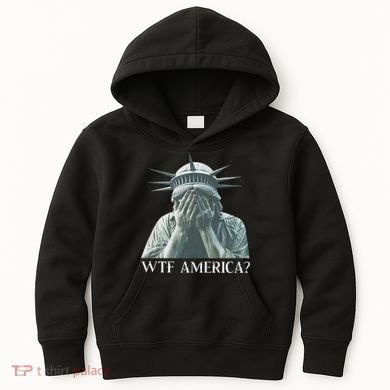 Wtf America Gift Kids Hoodie