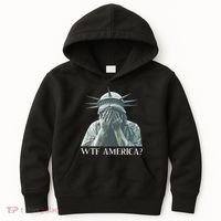 Wtf America Gift Kids Hoodie thumb 0