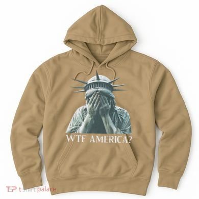 Wtf America Gift Hoodie