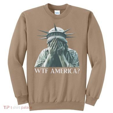 Wtf America Gift Sweatshirt