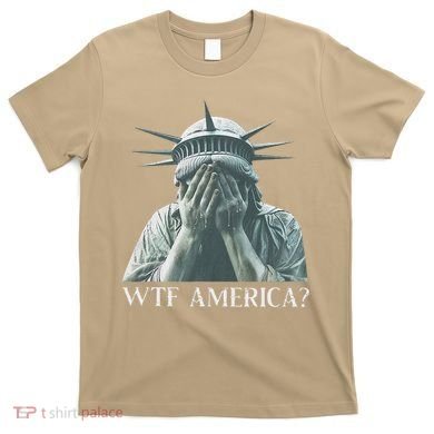 Wtf America Gift T-Shirt