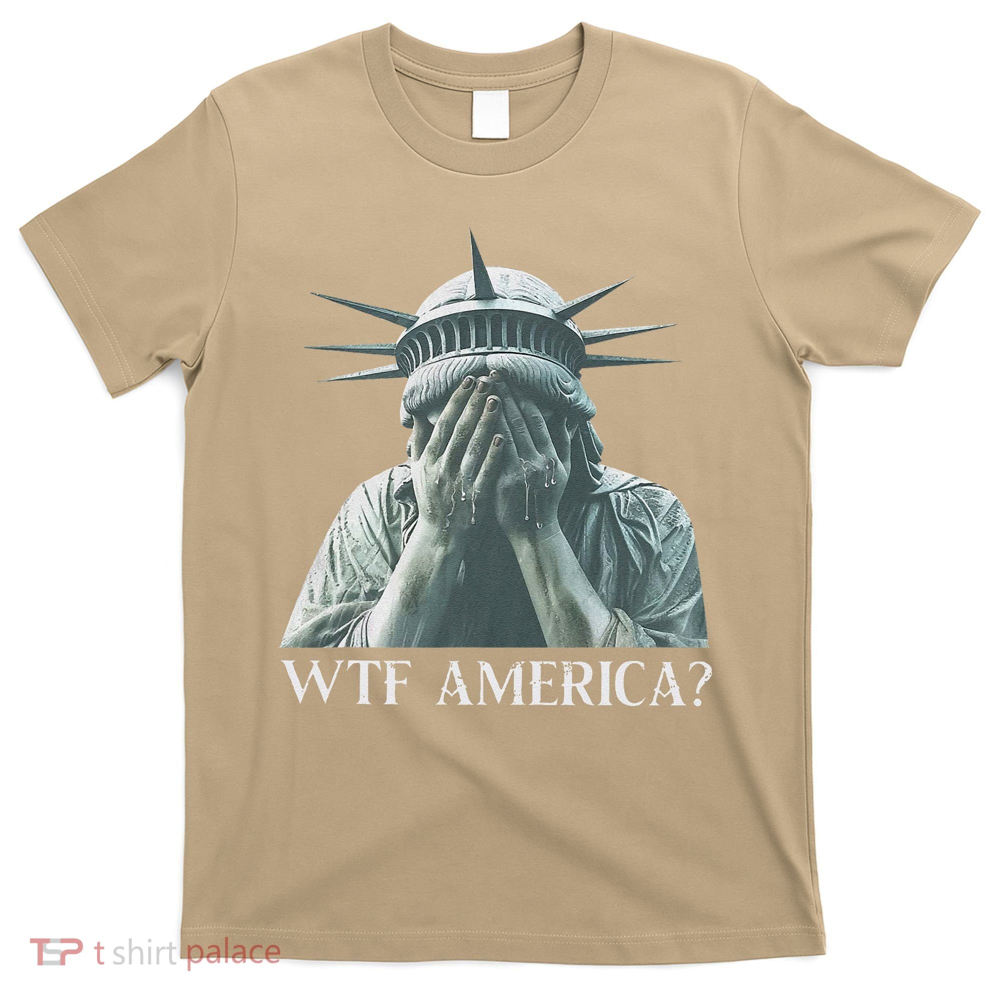 Wtf America Gift T-Shirt