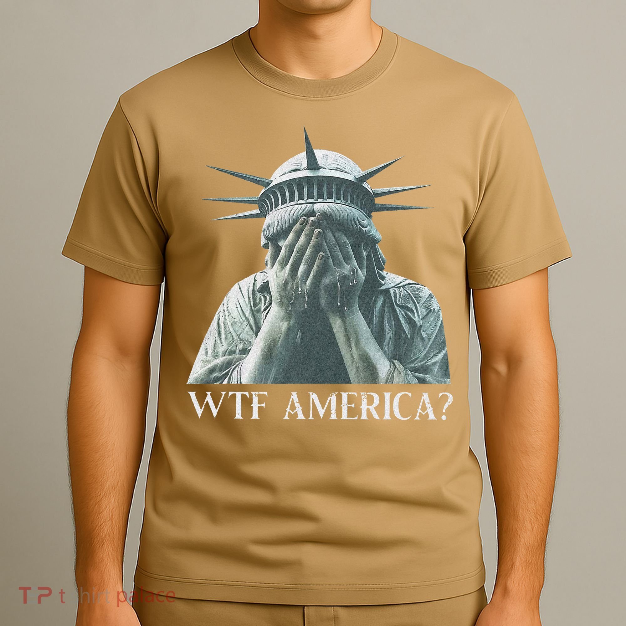 Wtf America Gift T-Shirt