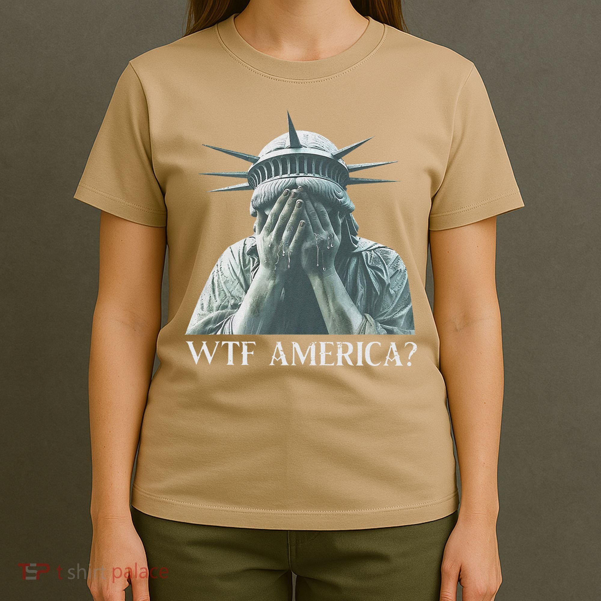 Wtf America Gift T-Shirt