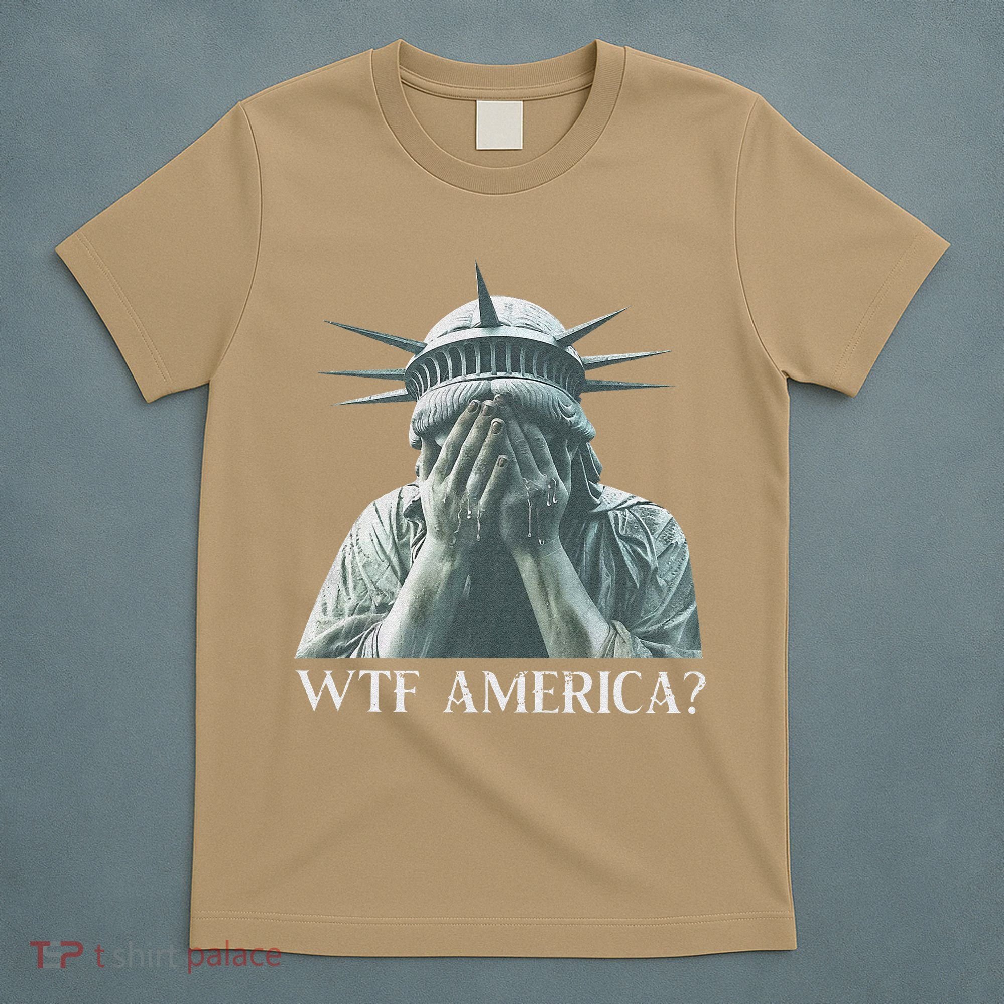 Wtf America Gift T-Shirt