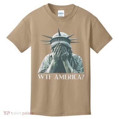 Wtf America Gift Kids T-Shirt