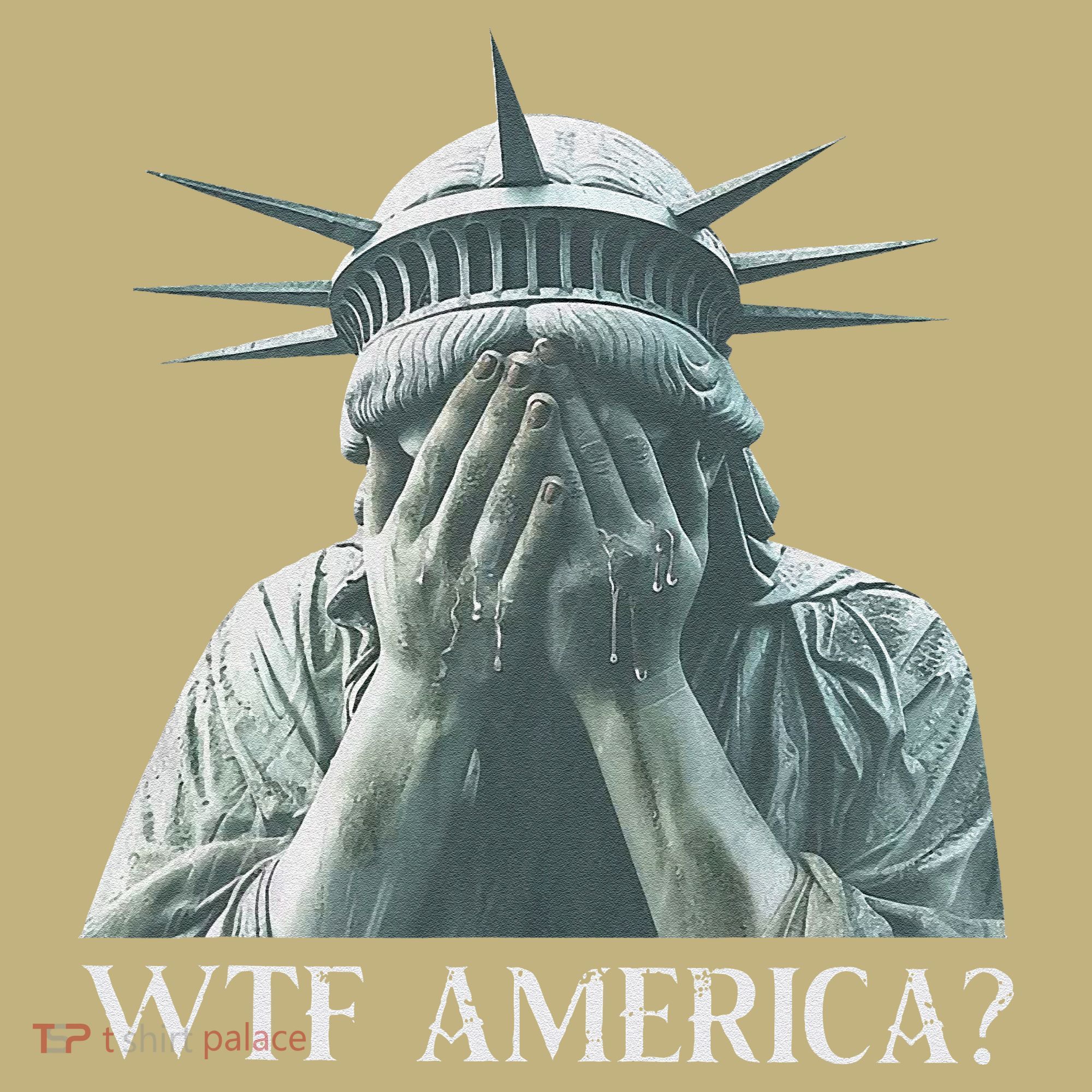 Wtf America Gift Kids T-Shirt
