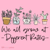 We All Grow At Different Rates Special Education Teacher Coaster thumb 2