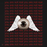 Weirdcore Aesthetic Human Eye Winged Eyeball Strangecore Toddler T-Shirt thumb 4