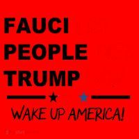Wake Up America Santa Hat thumb 1
