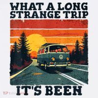 What A Long Strange Trip ItS Been 70s Hippie Camping Lover Kids Hoodie thumb 5