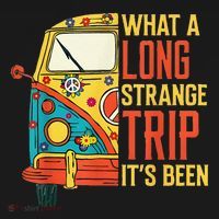 What A Long Strange Trip ItS Been 70s Hippie Camping Lover Toddler Hoodie thumb 2