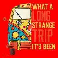 What A Long Strange Trip ItS Been 70s Hippie Camping Lover Santa Hat thumb 1