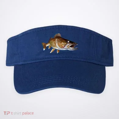 Visor