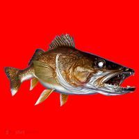 Walleye Santa Hat thumb 1